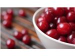 Cornelian Cherry Juice Concentrate, packed in 265 kg metal drums