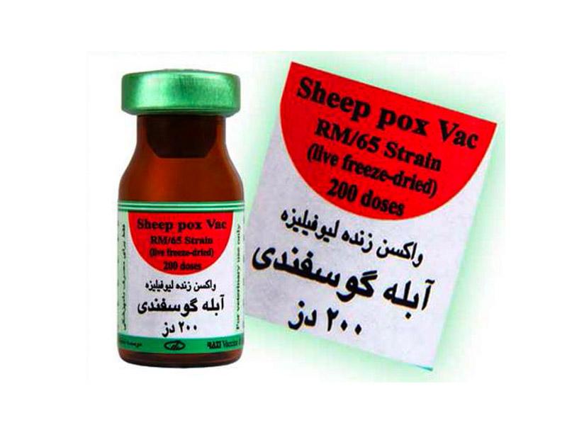 واکسن آبله گوسفندی
