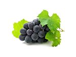 Export of red grape Juice concentrate to Armenia