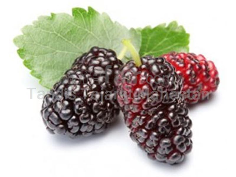 TTMFOOD Blackberry Juice Concentrate - Concentrate Products on mefair.com