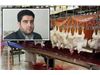 کشتارگاه طیور متخلف در کرمانشاه به‌ دلیل عدم تمدید قرارداد با مسئول فنی بهداشتی تعطیل شد 