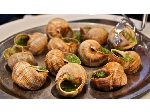 Edible Caspian snail