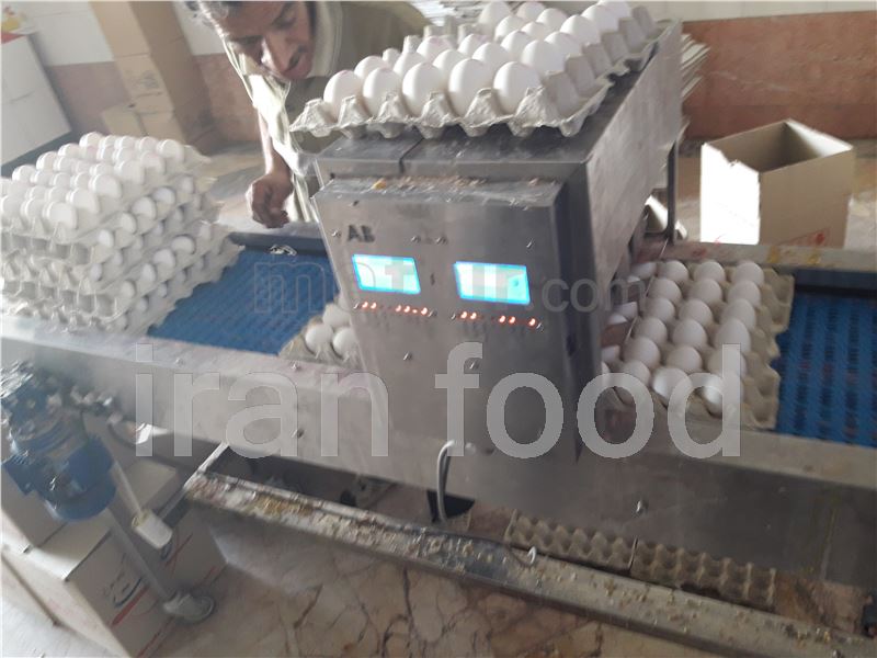 Iranian egg export with carton packing 24kg
