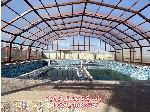 سقف استخر پاسارگاد پوشش ایرانیان