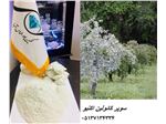 سوپر کائولین اکیتو