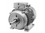 الکتروموتور SIEMENS