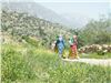 تور 3روزه دشت ارژن