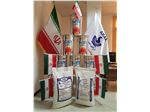 caustic soda flakes
