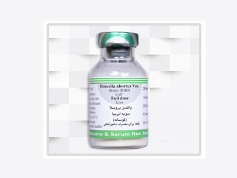 واکسن بروسلوز گوساله ایریبا (دز کامل)
