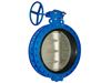 Butterfly Valve with Flange Iran