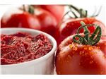 Export of tomato paste to Russia