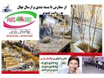 نهالستان مهندس زردادی