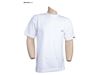 تی شرت مردانه یقه گرد سفید