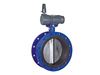 Butterfly Valve without Flange Iran