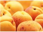 TTMFOOD Aseptic Apricot Puree