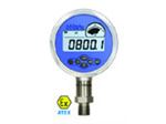 فشار سنج دیجیتال ADT 681-GP10