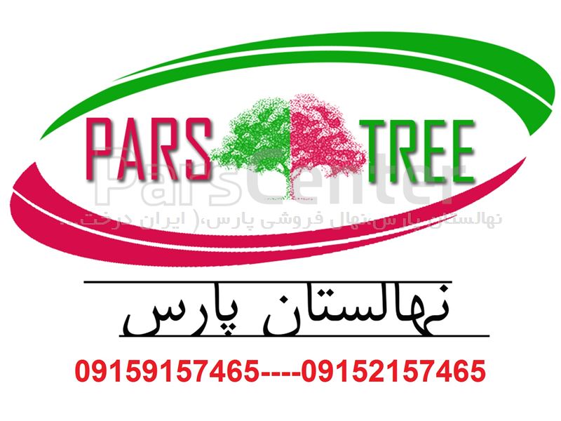 قیمت درخت آلو رویال بلک ، نهال آلو رویال در نهالستان پارس