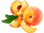 Export of peach puree to Russia & Turkey