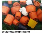 گلدان پلاستیکی مشکی گلدان ژله ای