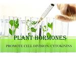 واردات، تهیه و توزیع انواع هورمونهای گیاهی آزمایشگاهی و تجاری (به صورت عمده و خرده)  فروش هورمونهای گیاهی به همراه پروتکلهای آماده سازی محلول هورمونی