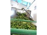 خط تولید و بسته بندی خیار شور و ترشیجات