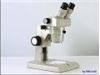 استریو میکروسکوپ مدل SMZ1 ساخت شرکت نیکون