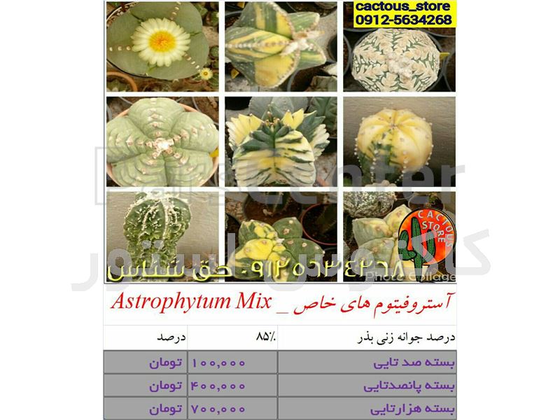 کانال تلگرام ورزش سه