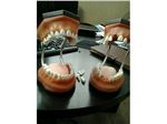 مولاژ (مانکن) دندان دو فک PVC بزرگ قابلیت جدا شدن دندانها