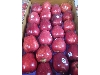 Red apple