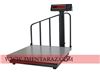 باسکول 600 کیلویی pds 600