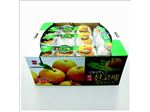 Manufacturer Corrugated box for fruit and vegetable in Iran
