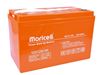 Leoch Battery 12v 100Ah