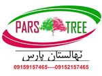 نهال گلابی _قرمز آنجو، Red Anjou Pear