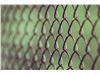 Chain link fence Iran