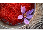 saffron