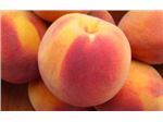 قیمت نهال هلو سرخابی