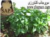 SAP- سوپر جاذب کشاورزی