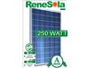 پنل خورشیدی Renesola 250w
