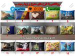 3D Pillow case and cushion With beautiful and varied designs