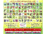سیب رد مریکال_نهال رد مریکال