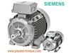 الکتروموتور زیمنس Siemens