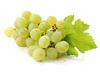 TTMFOOD White Grape Juice Concentrate