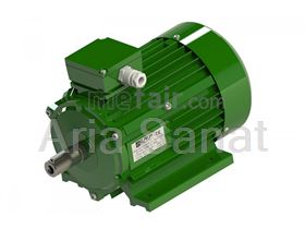 3 Phase Brake Motors