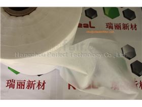 Superoleophylic and Superhydrophobic Separation Membrane