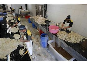 Beef casing , Beef penis ,  Beef testicle , Beef omasum