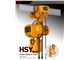 Electric Hoist 10 Ton