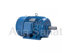 Motogen Electric motor