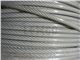 Transparent coated wire rope