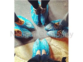 Disposable Shoe Covers