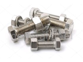 stainless steel bolt and nut